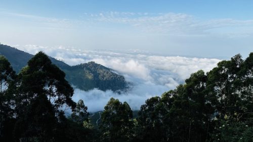 WhatsApp-Image-2025-04-23-at-1.47.06-PM-1